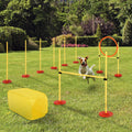 Outdoor 4 PCs Dog Pet Agility Training Equipment Backyard