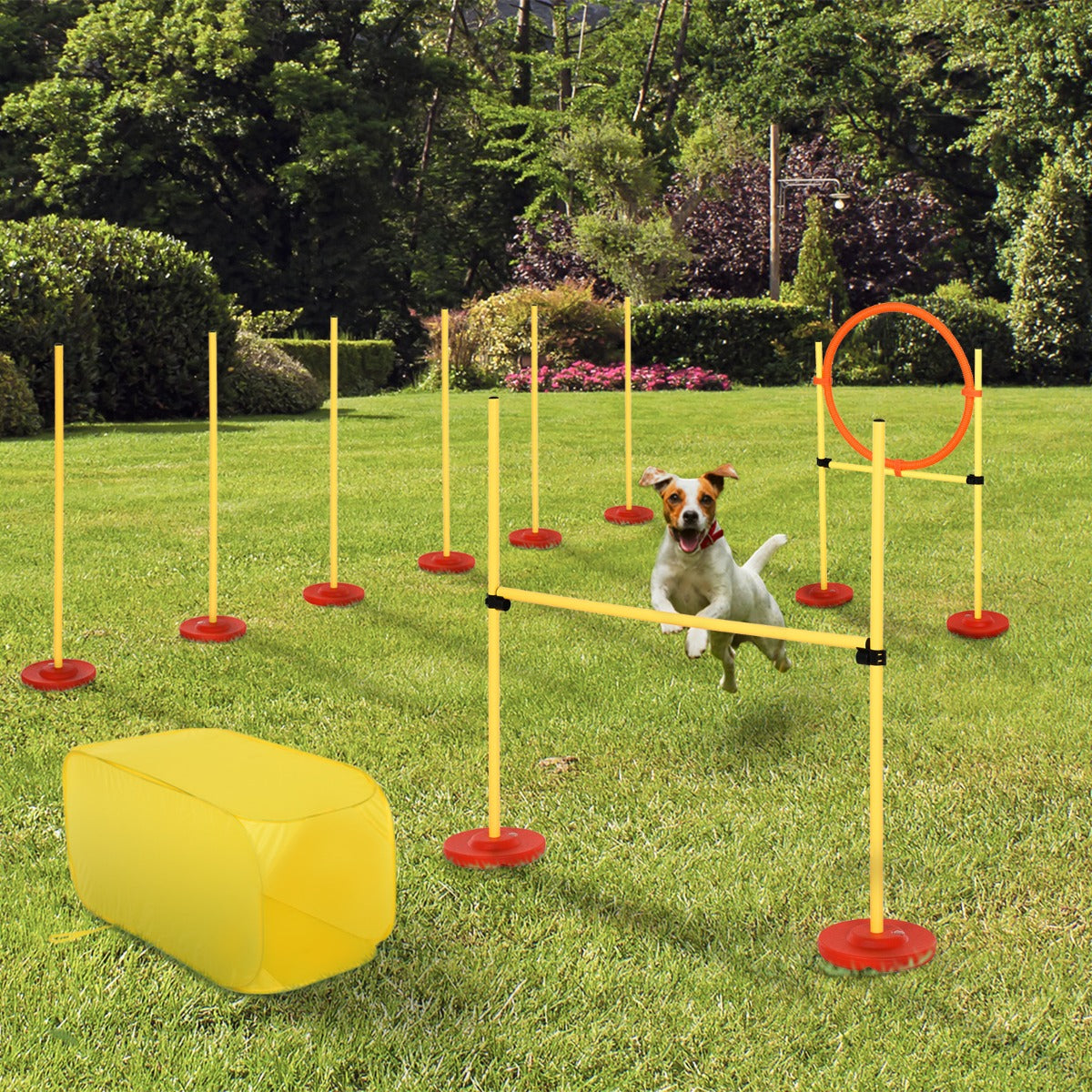 Outdoor 4 PCs Dog Pet Agility Training Equipment Backyard