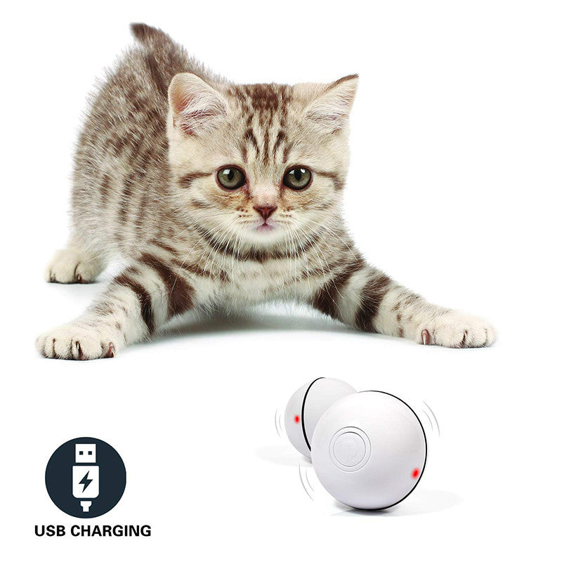 LED Laser Electronic Rolling Funny Cat Toy Ball